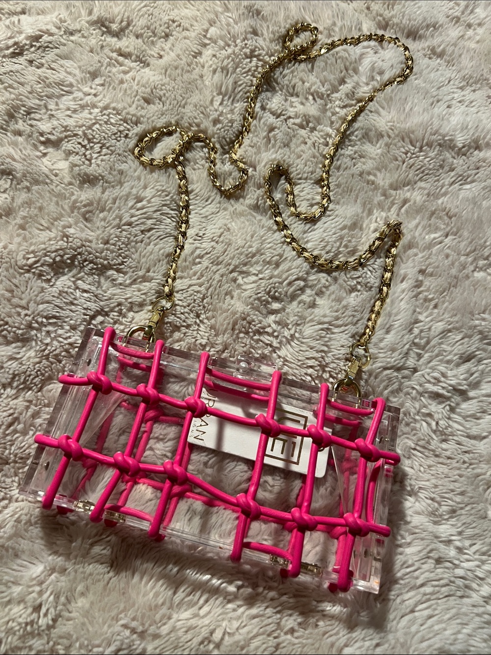 NWT Clear Acrylic Crossbody Bag with Hot Pink Rope Accent and Gold Chain